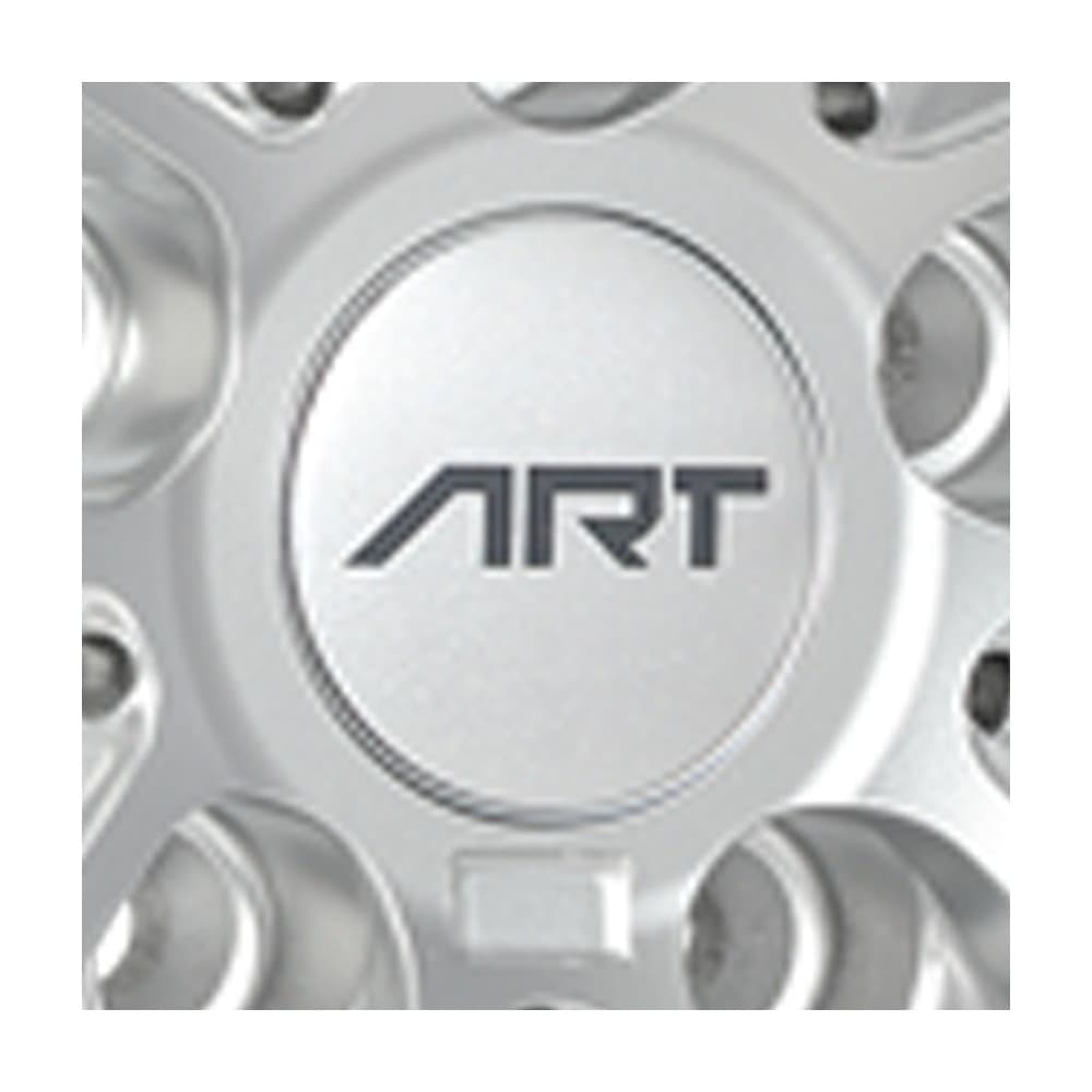 Logo Silver R281, R36