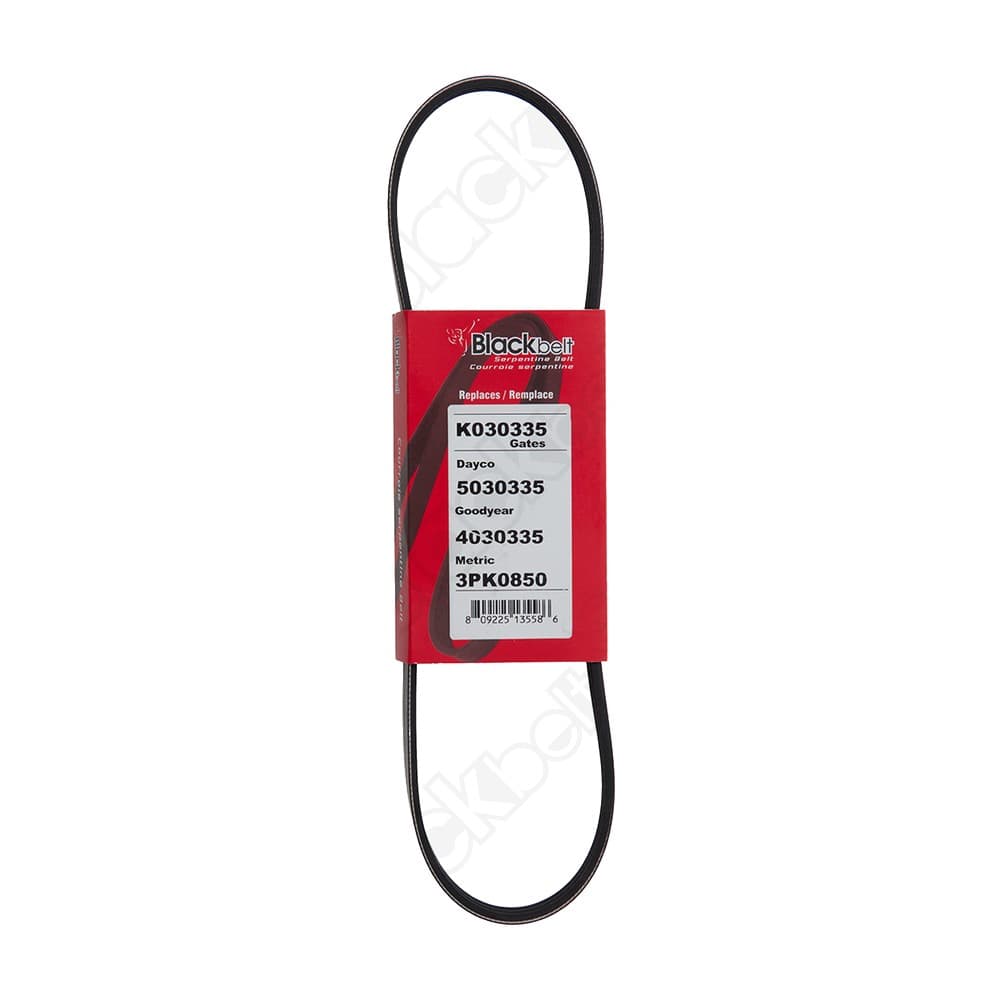 Serpentine Belt K030335