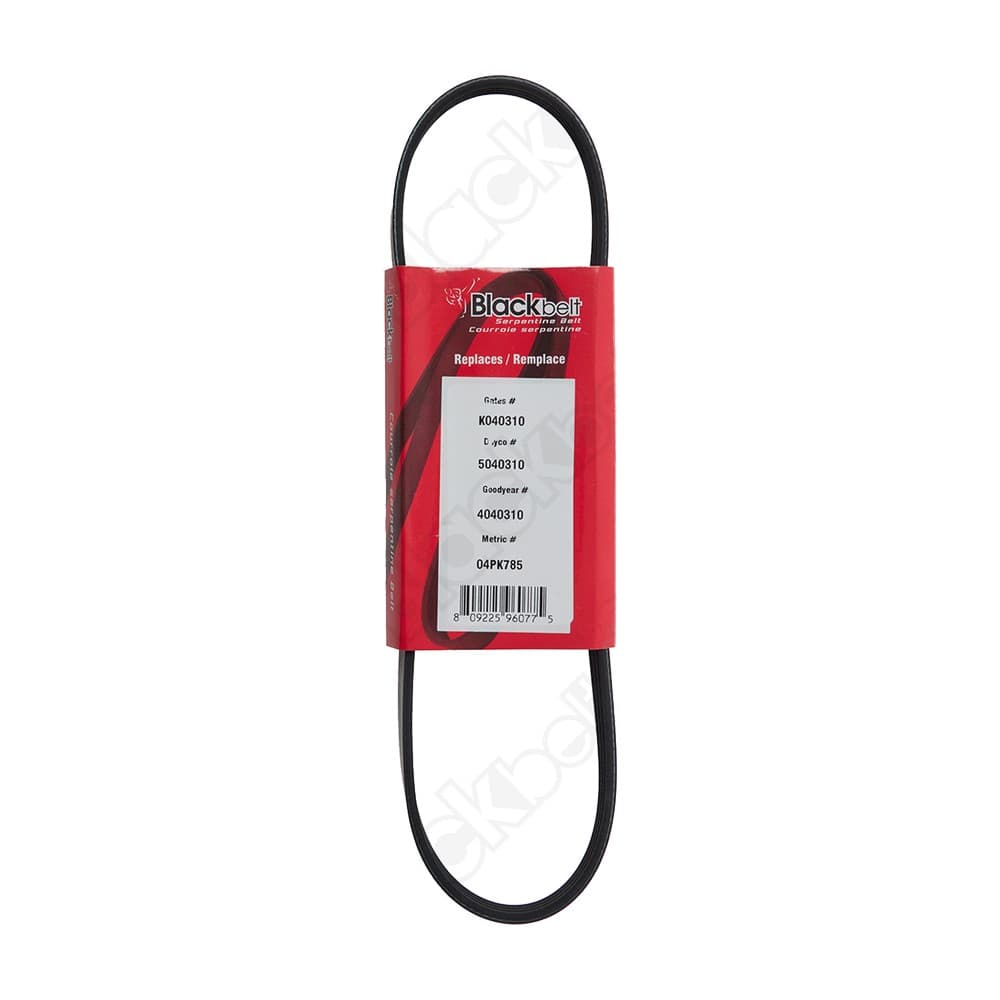 Serpentine Belt K040310