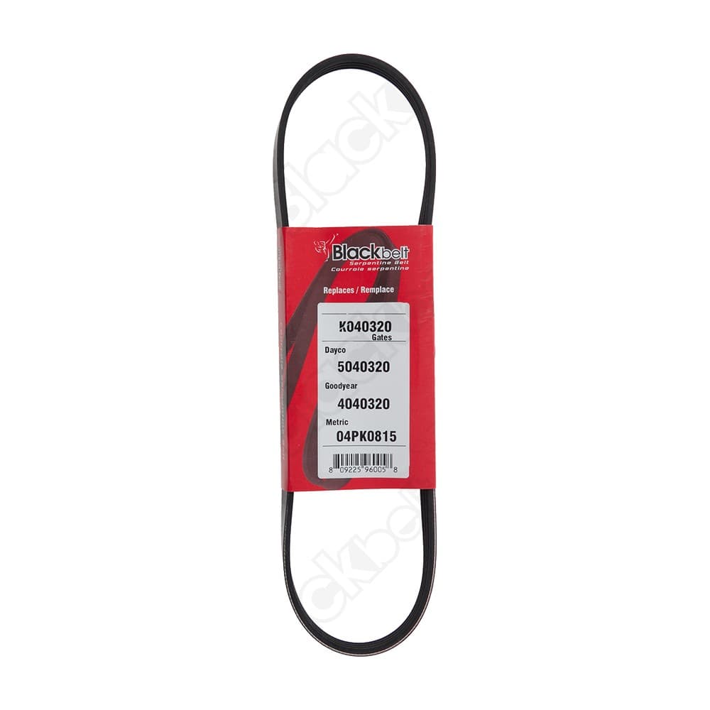 Serpentine Belt K040320