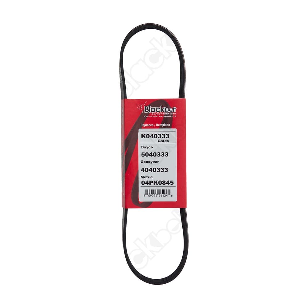 Serpentine Belt K040333