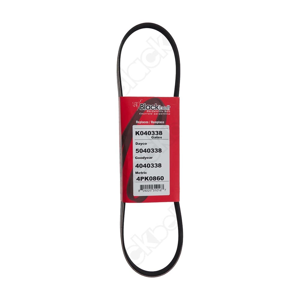 Serpentine Belt K040338