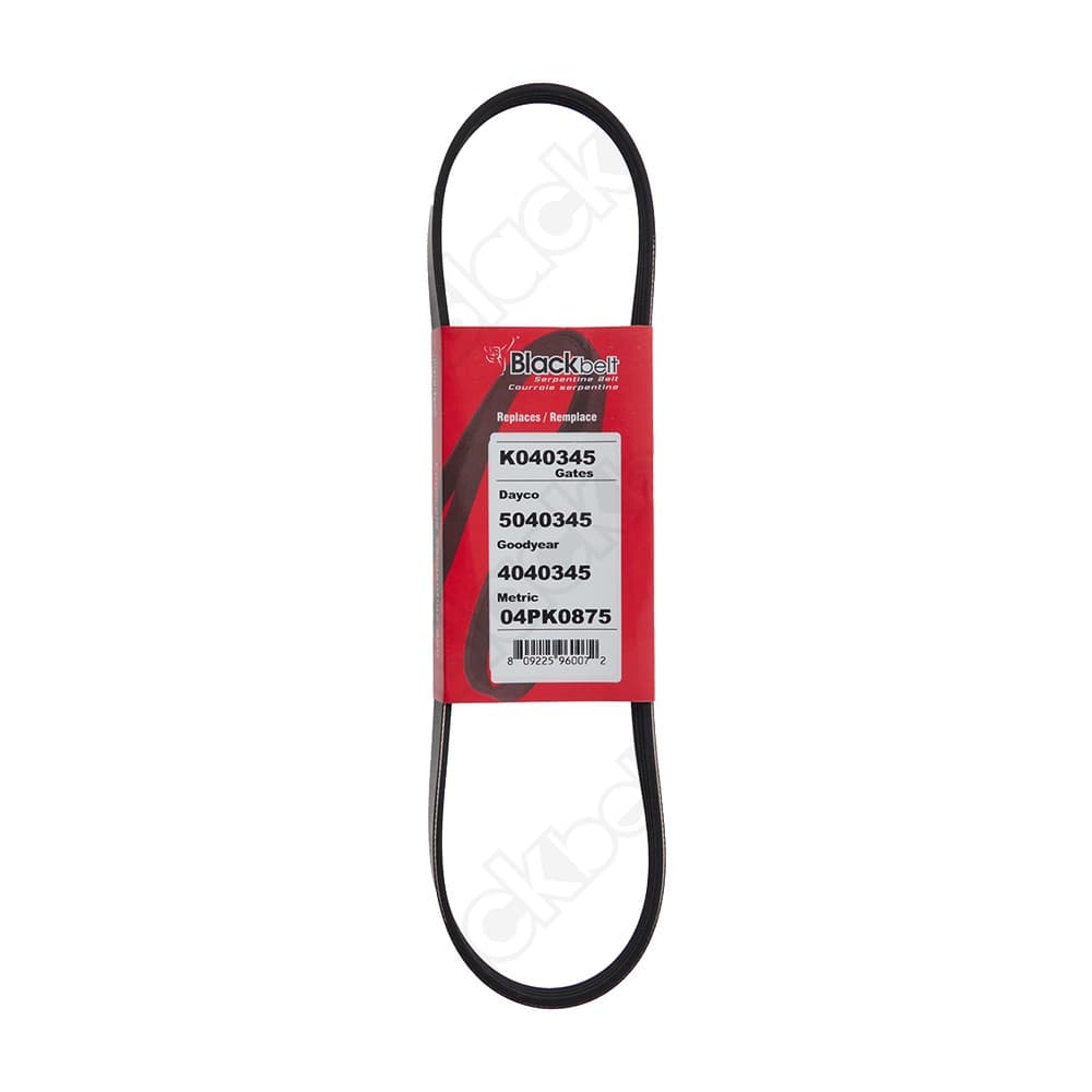 Serpentine Belt K040345