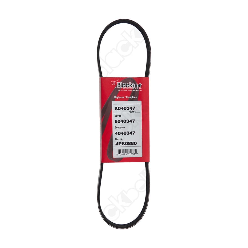 Serpentine Belt K040347