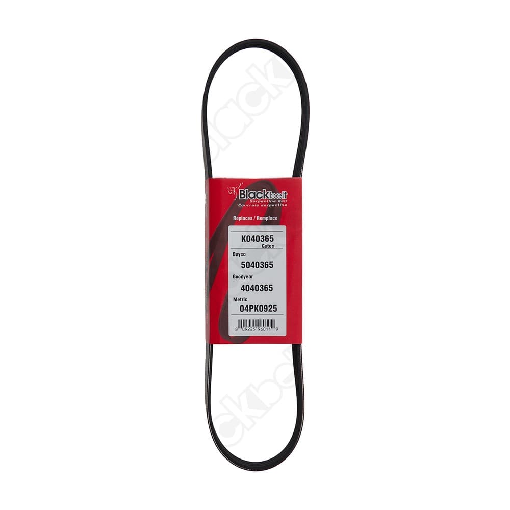 Serpentine Belt K040365