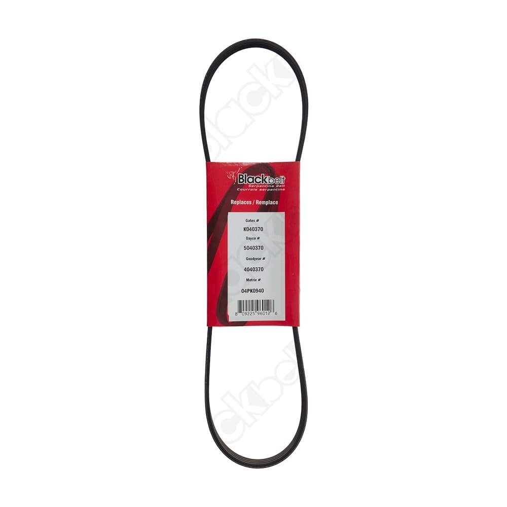 Serpentine Belt K040370