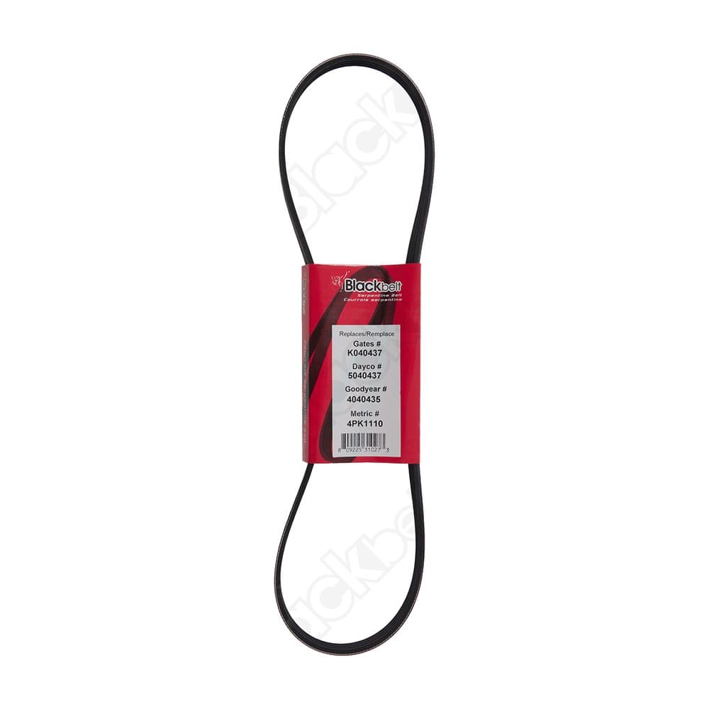 Serpentine Belt K040437