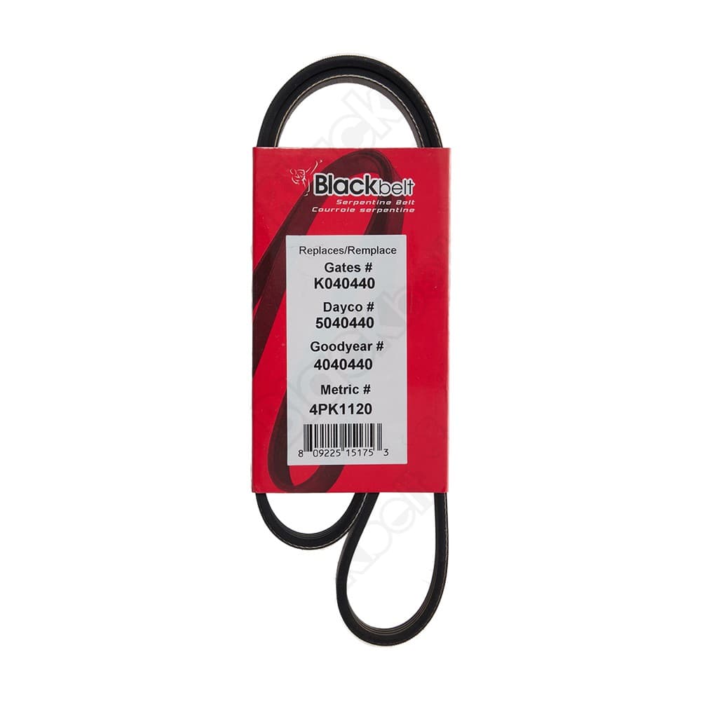 Serpentine Belt K040440