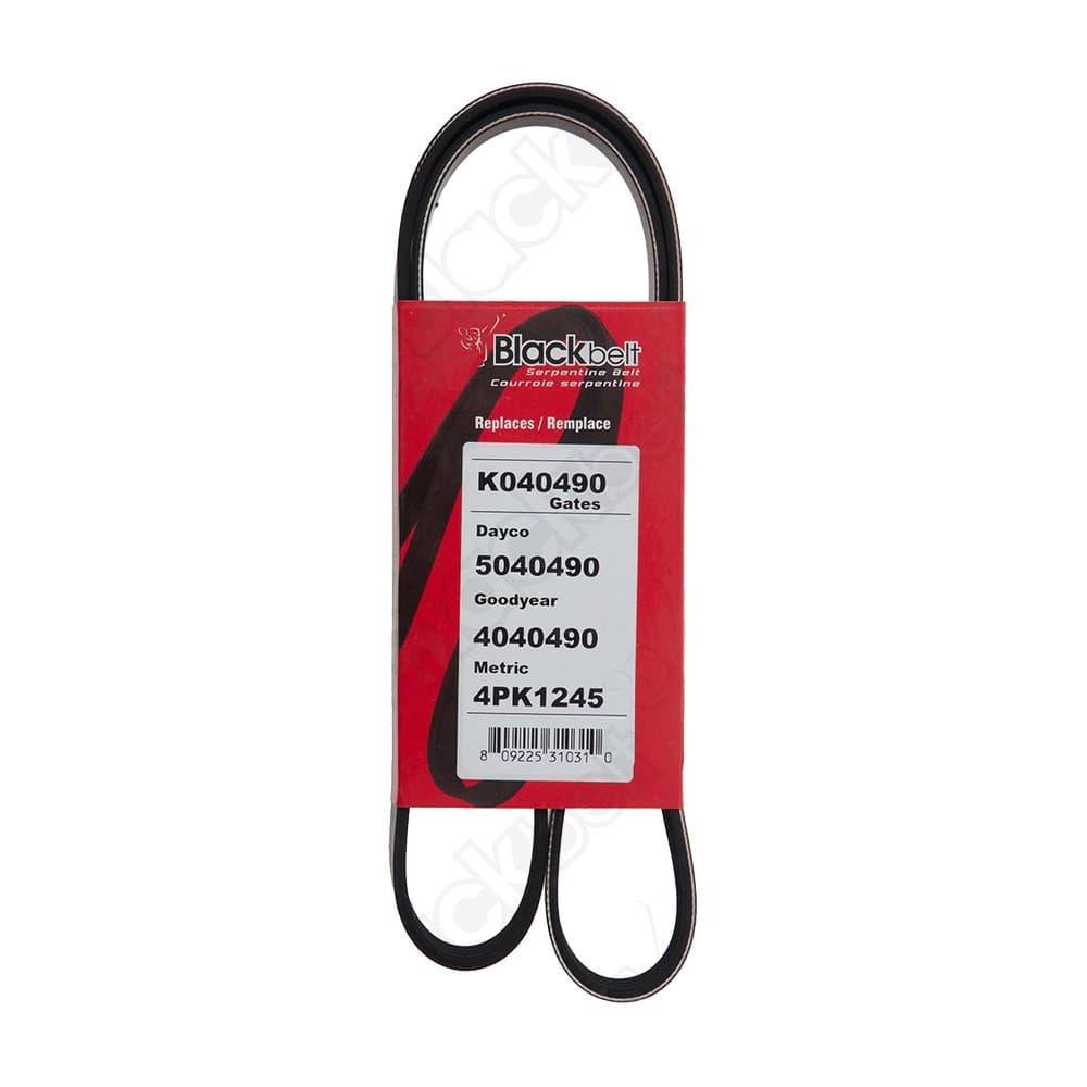 Serpentine Belt K040490