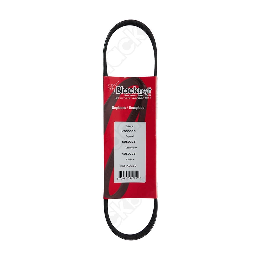 Serpentine Belt K050335