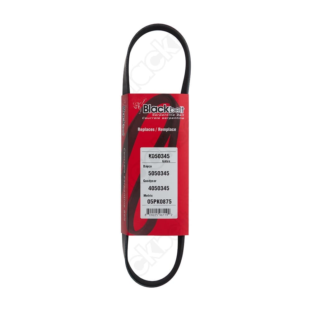 Serpentine Belt K050345