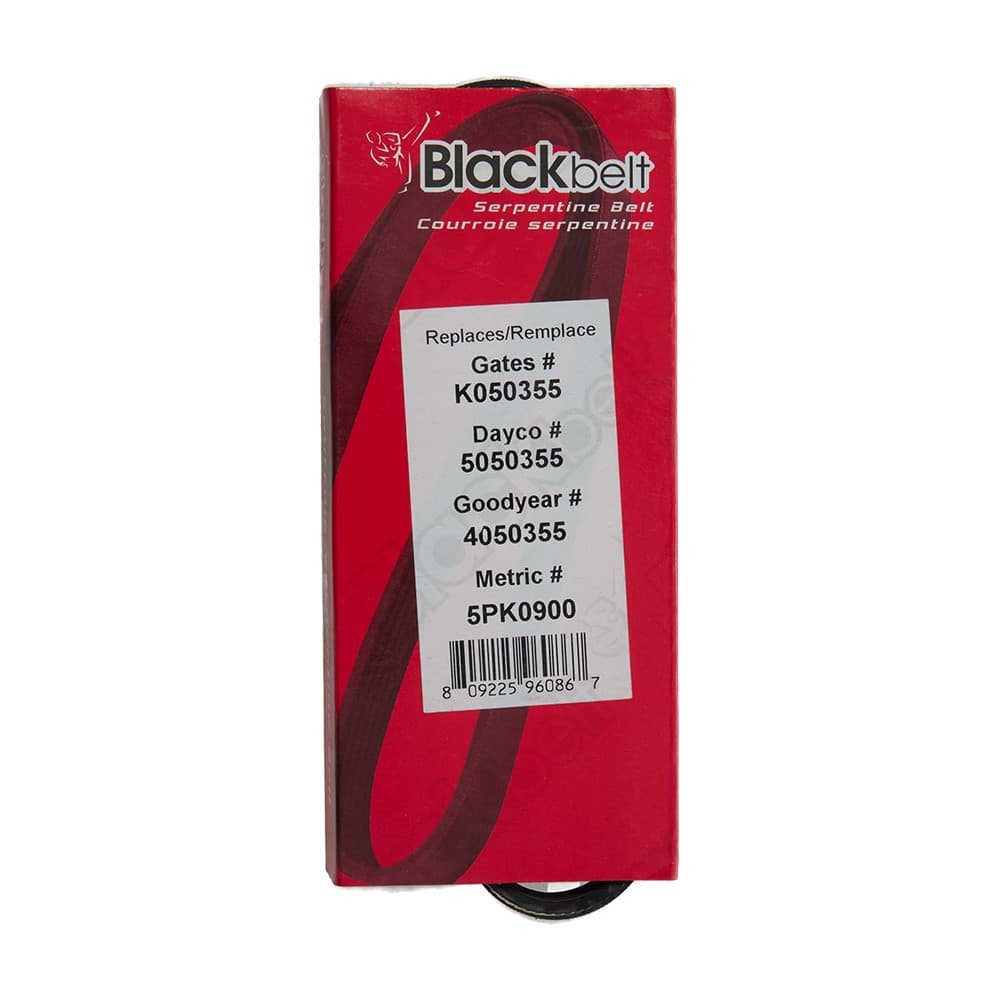 Serpentine Belt K050355