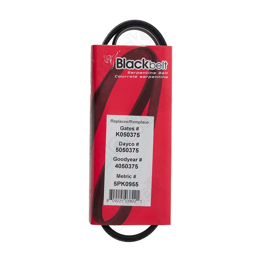 Serpentine Belt K050375