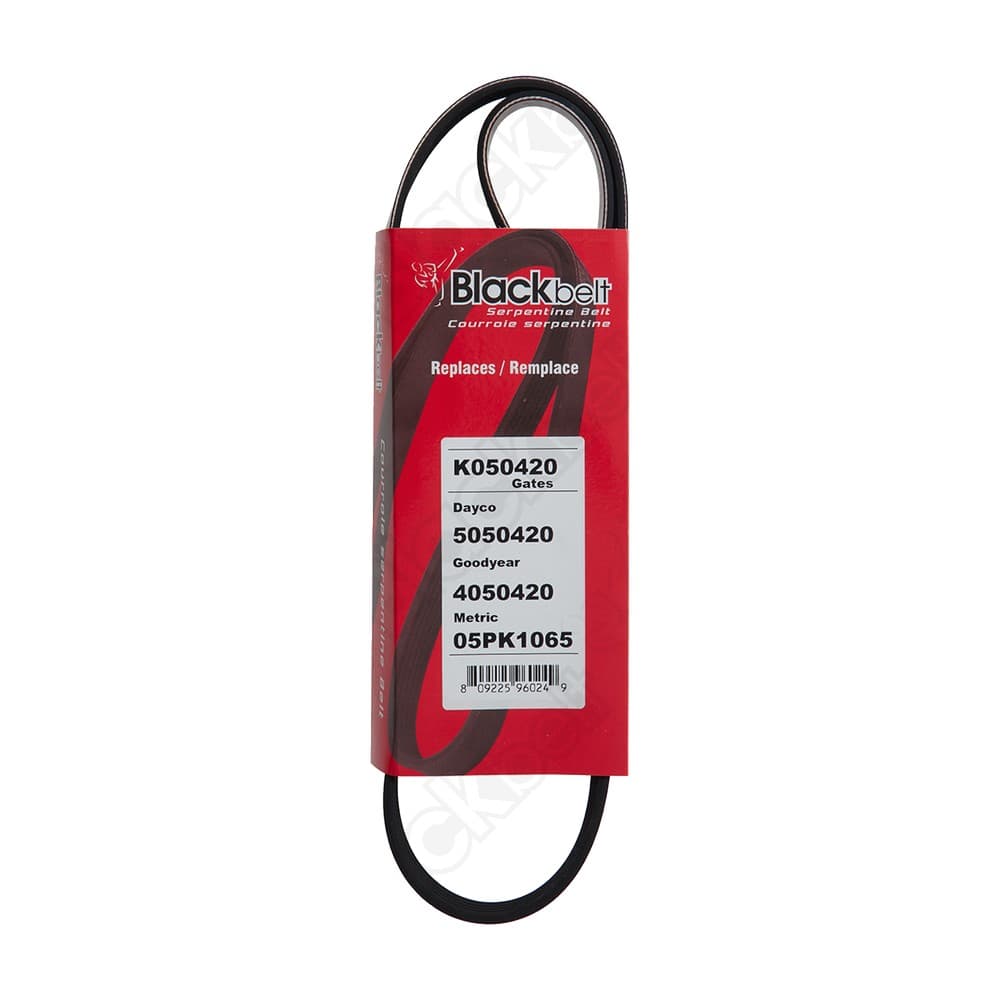 Serpentine Belt K050420