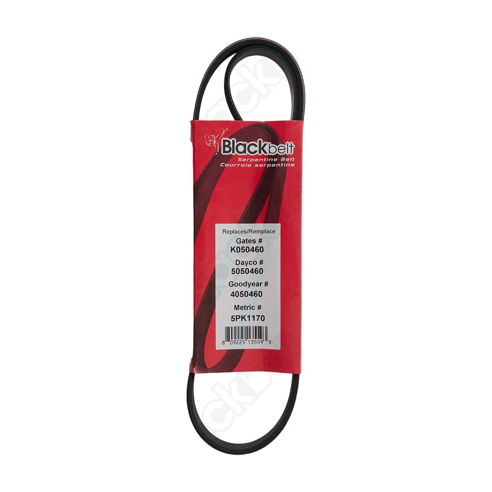 Serpentine Belt K050460