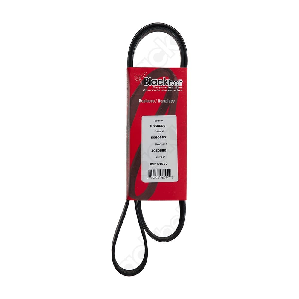Serpentine Belt K050650