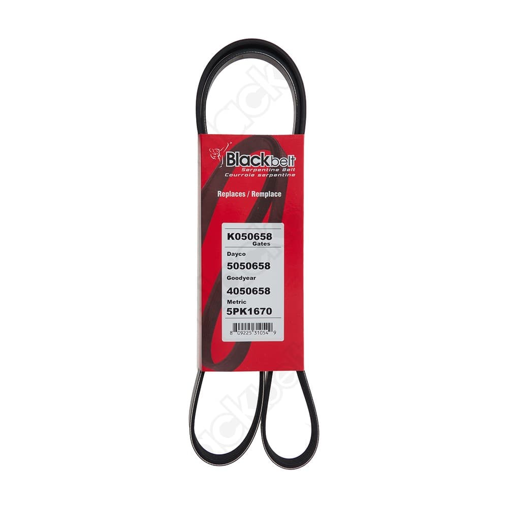 Serpentine Belt K050658