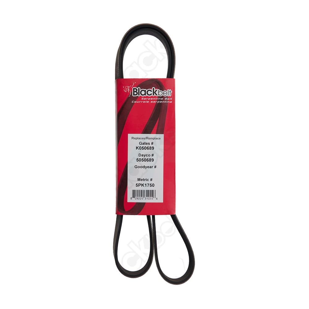 Serpentine Belt K050689