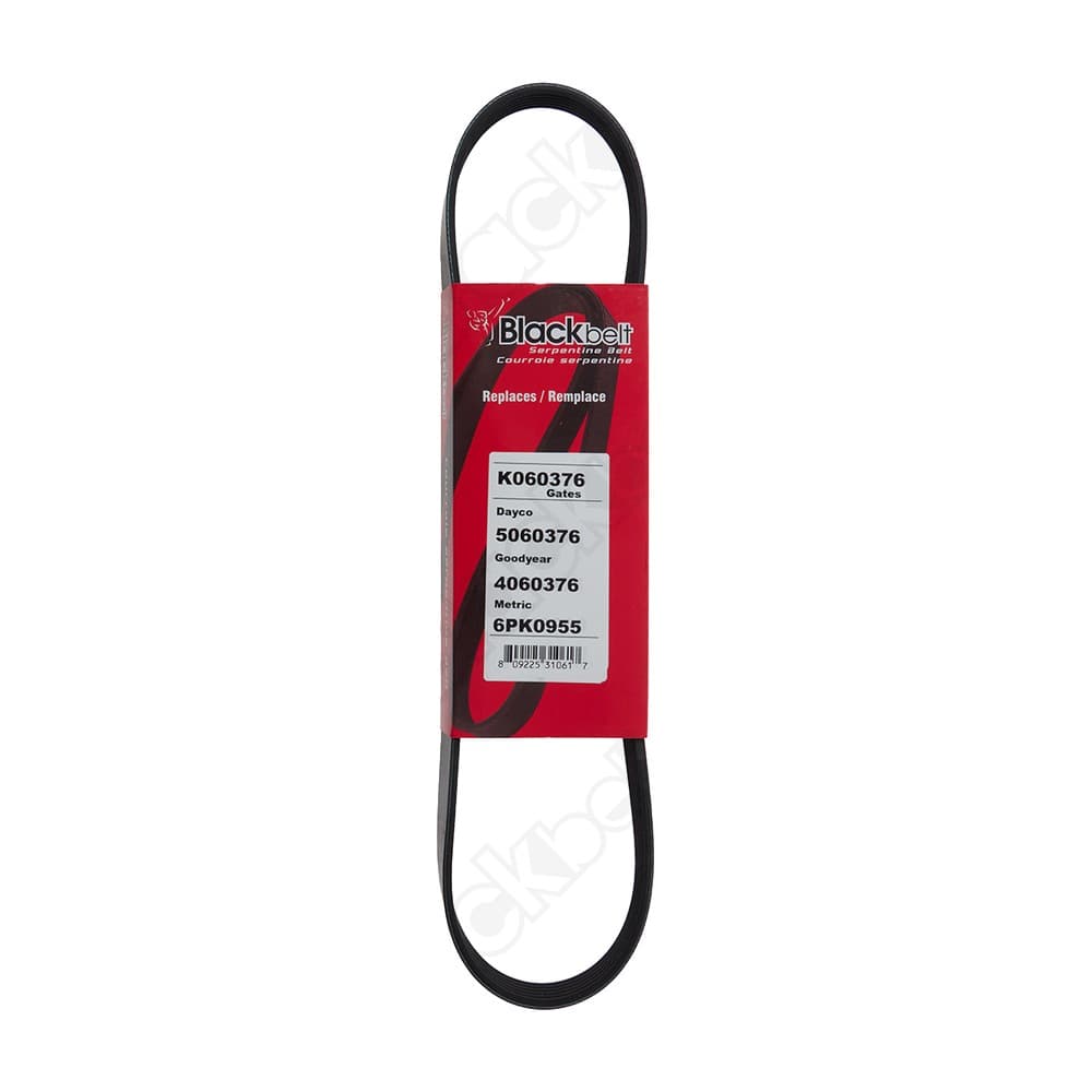 Serpentine Belt K060376
