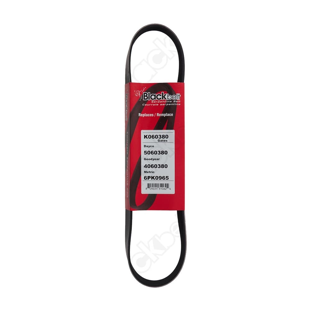 Serpentine Belt K060380