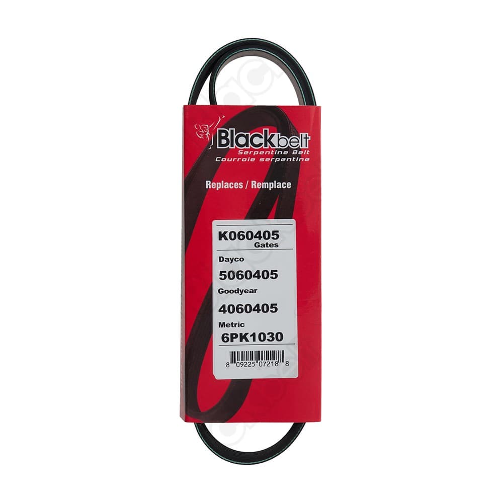 Serpentine Belt K060405