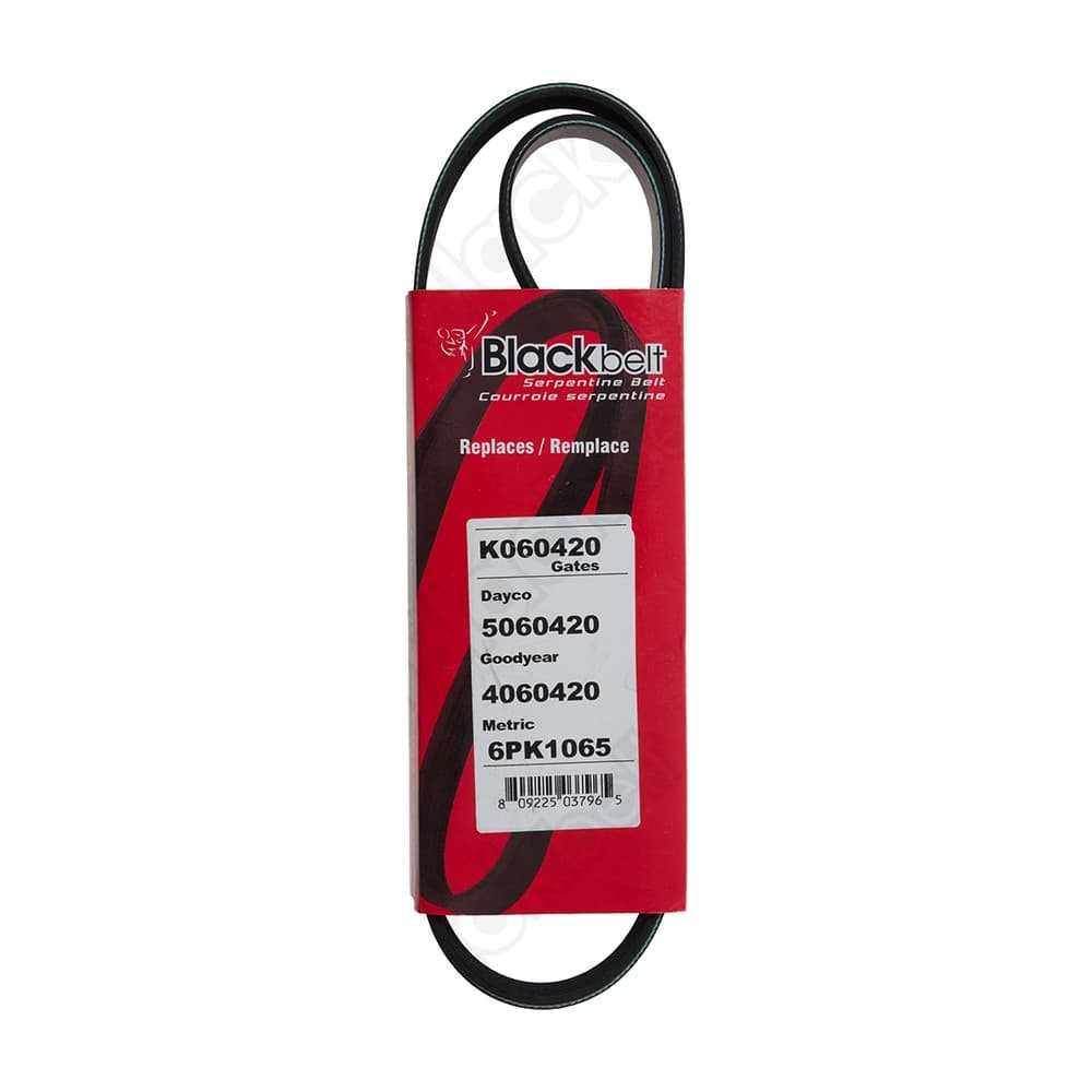 Serpentine Belt K060420