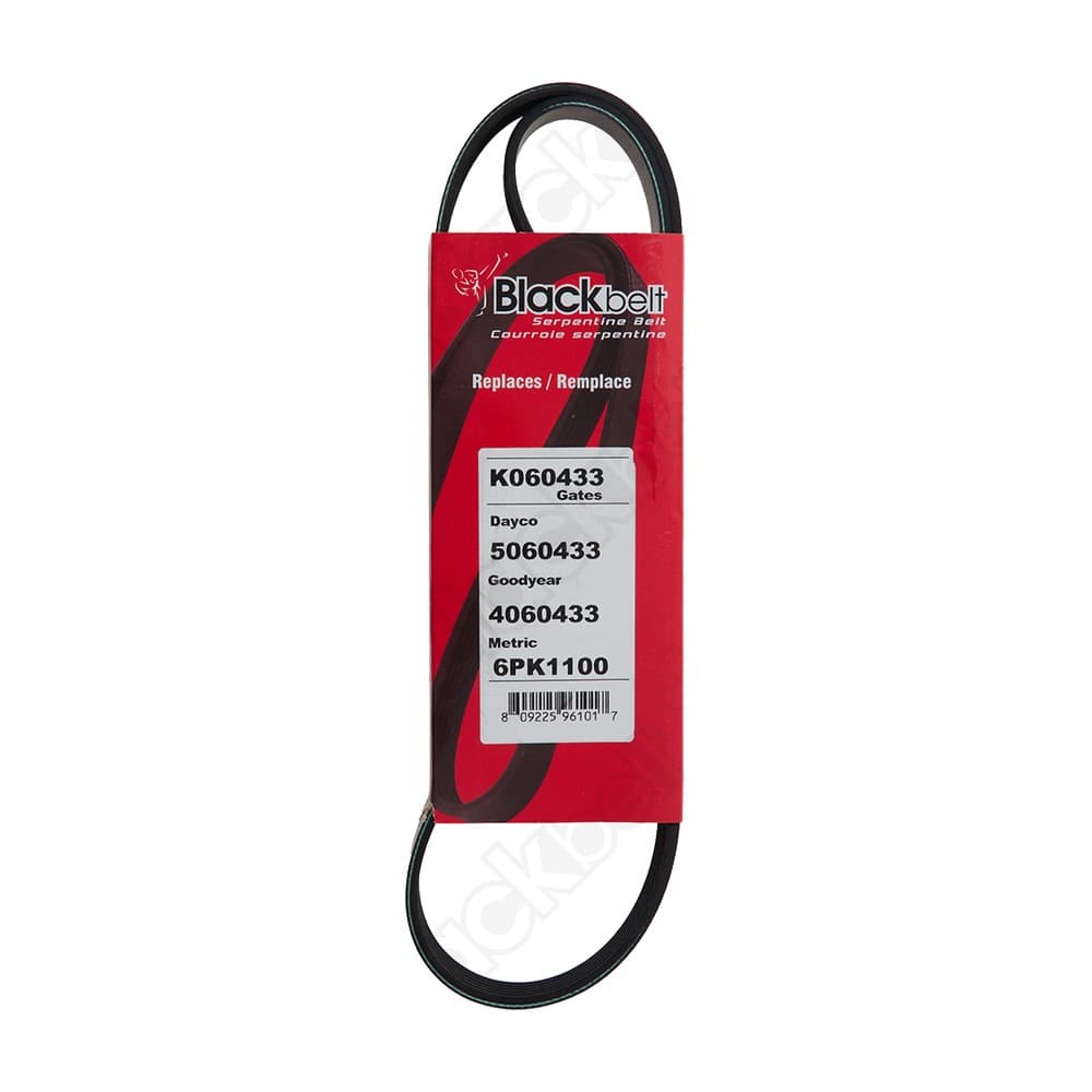 Serpentine Belt K060433