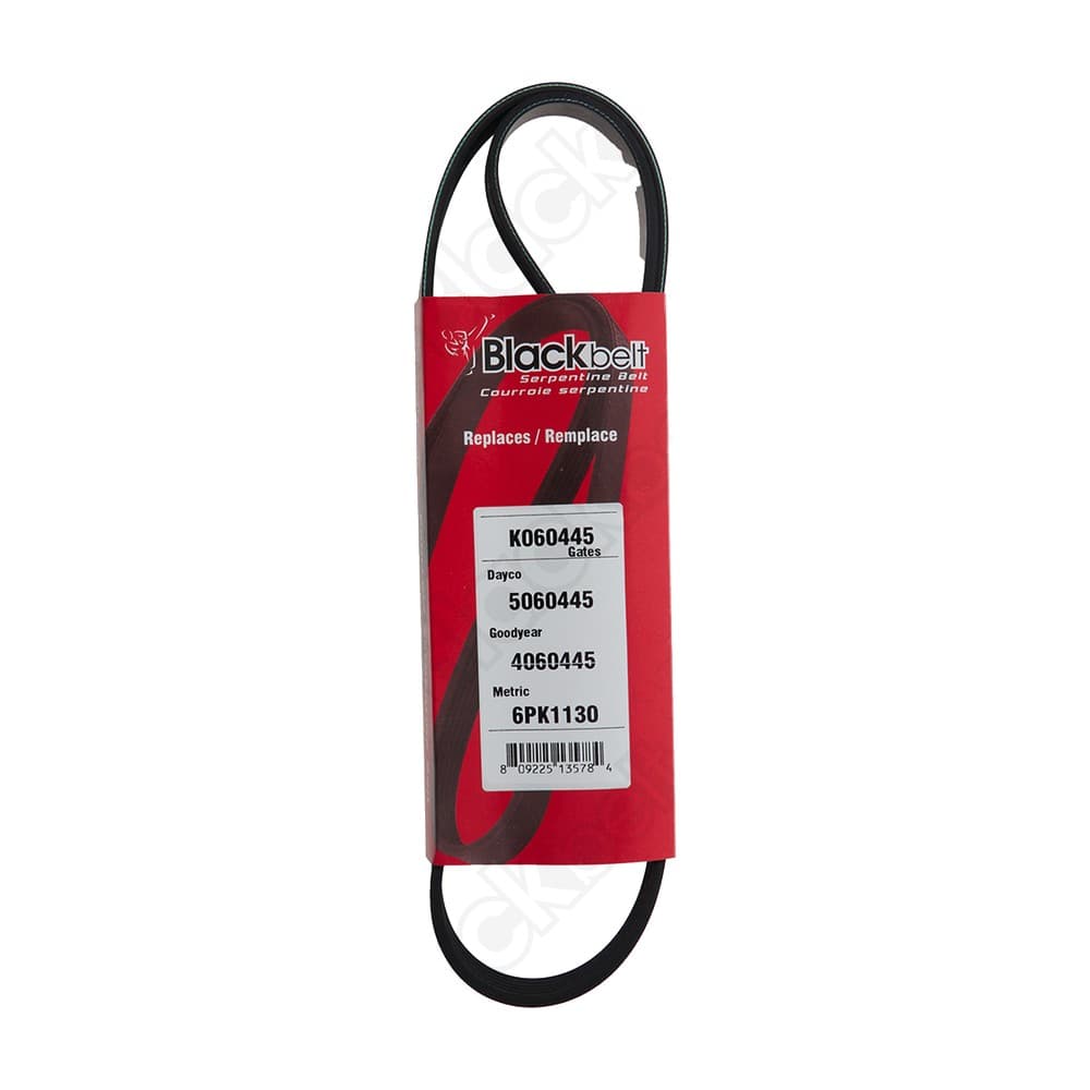 Serpentine Belt K060445