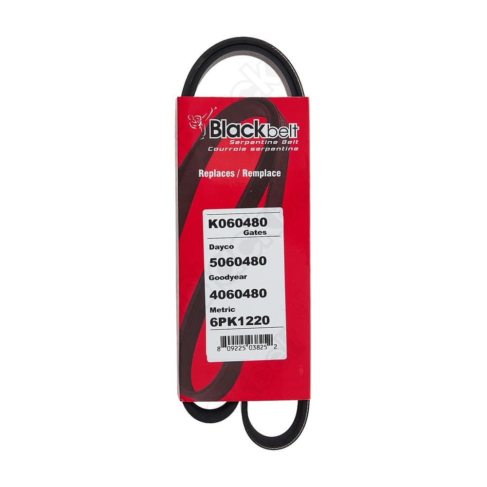 Serpentine Belt K060480