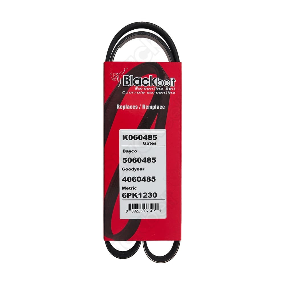 Serpentine Belt K060485