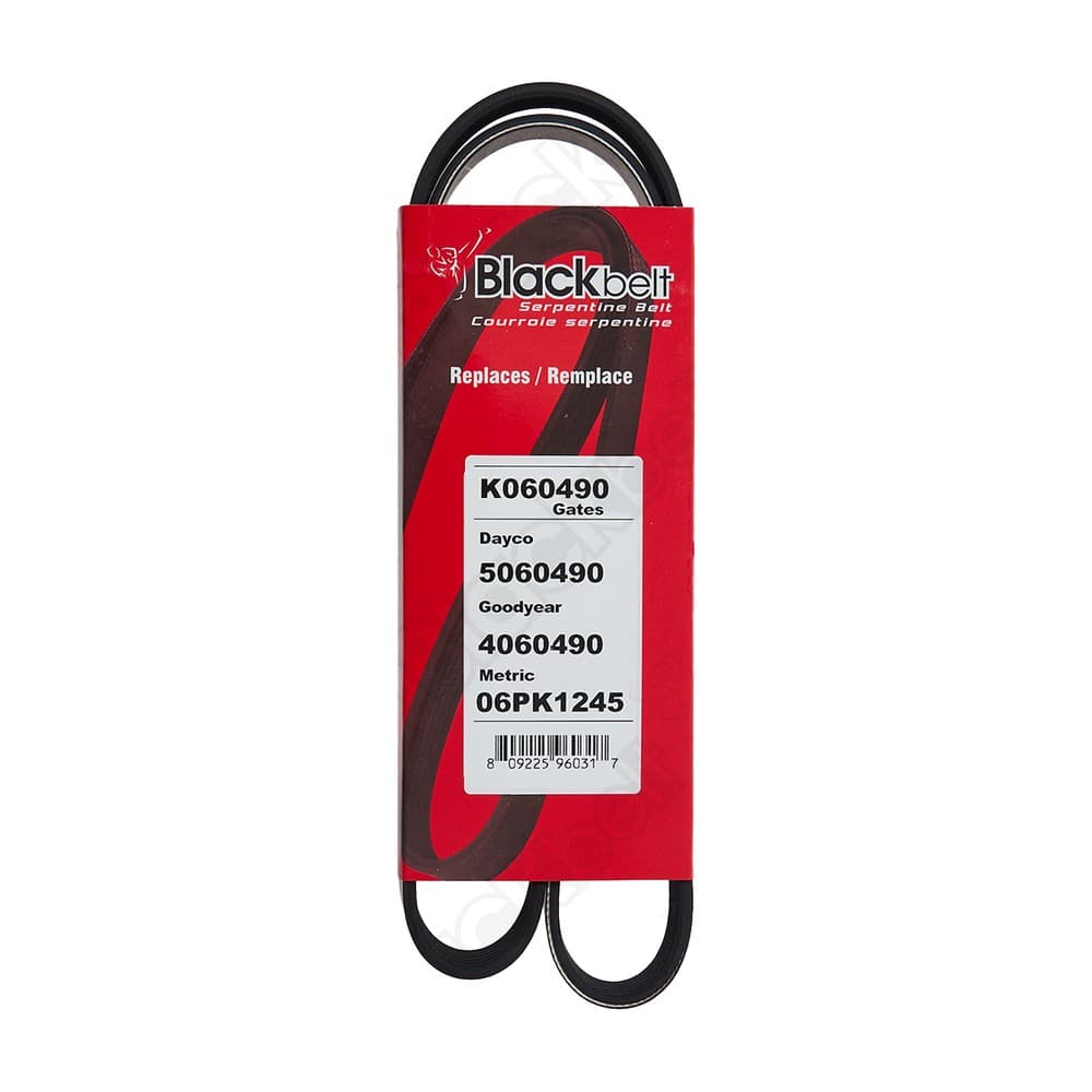 Serpentine Belt K060490