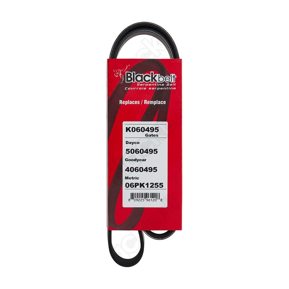 Serpentine Belt K060495