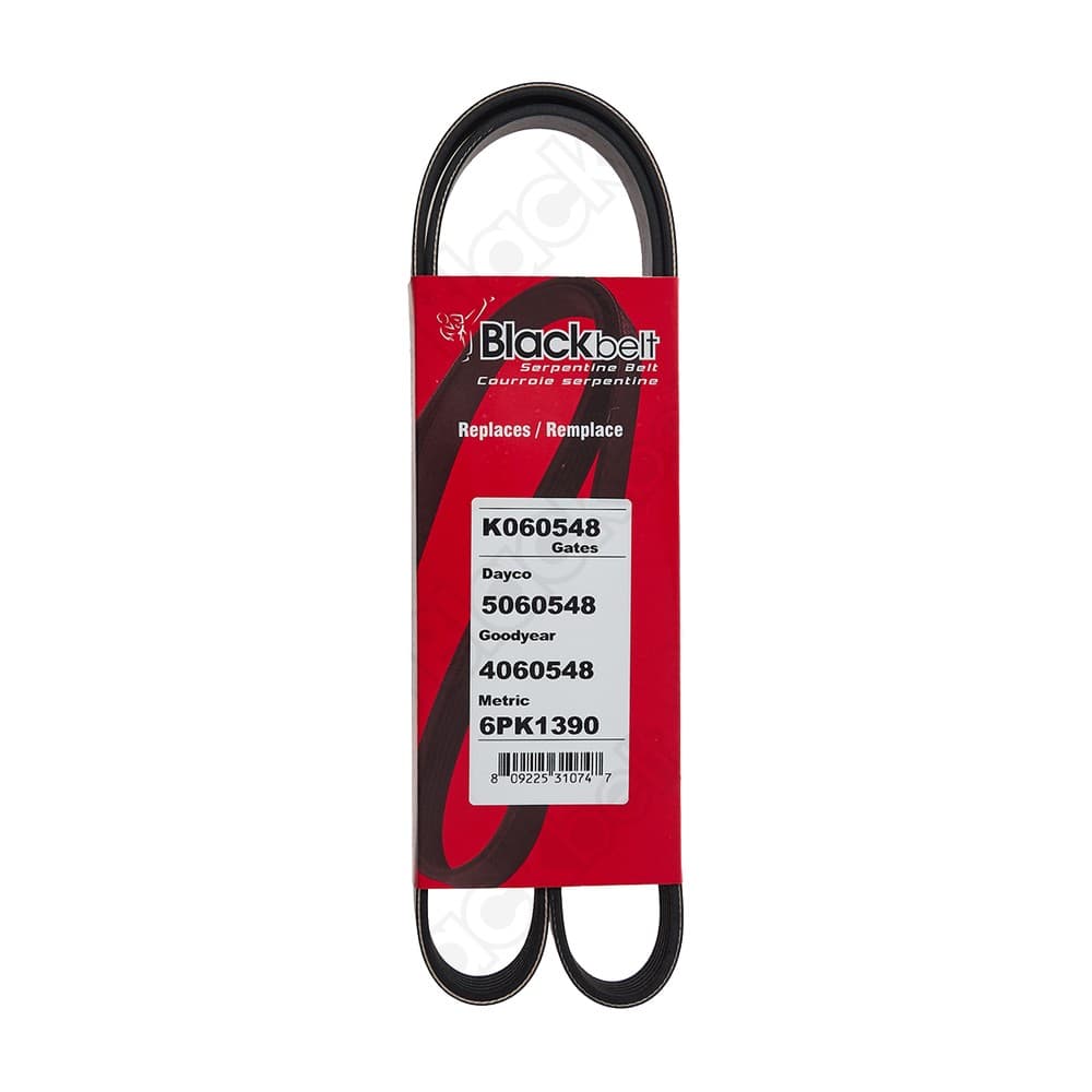 Serpentine Belt K060548