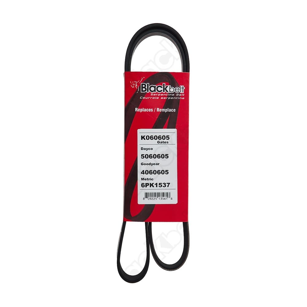 Serpentine Belt K060605