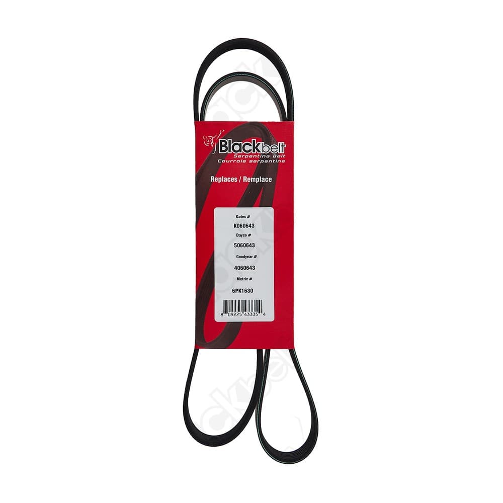 Serpentine Belt K060643