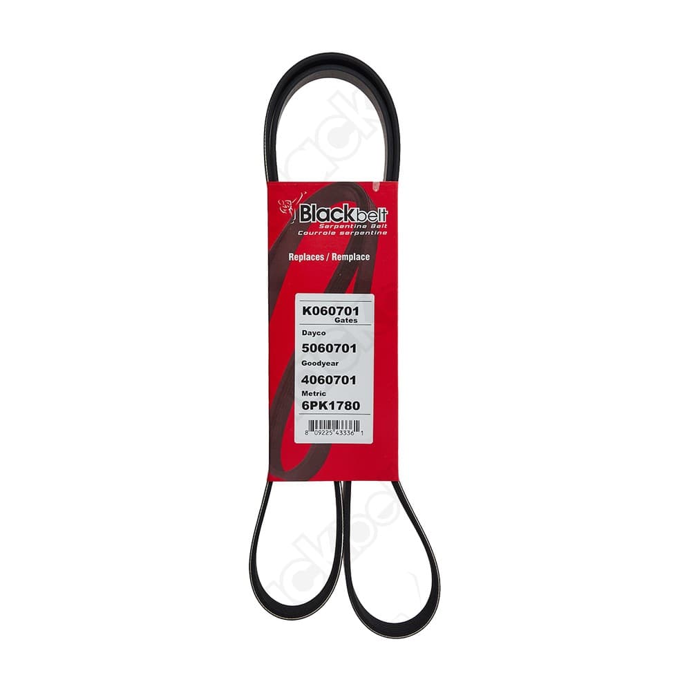 Serpentine Belt K060701