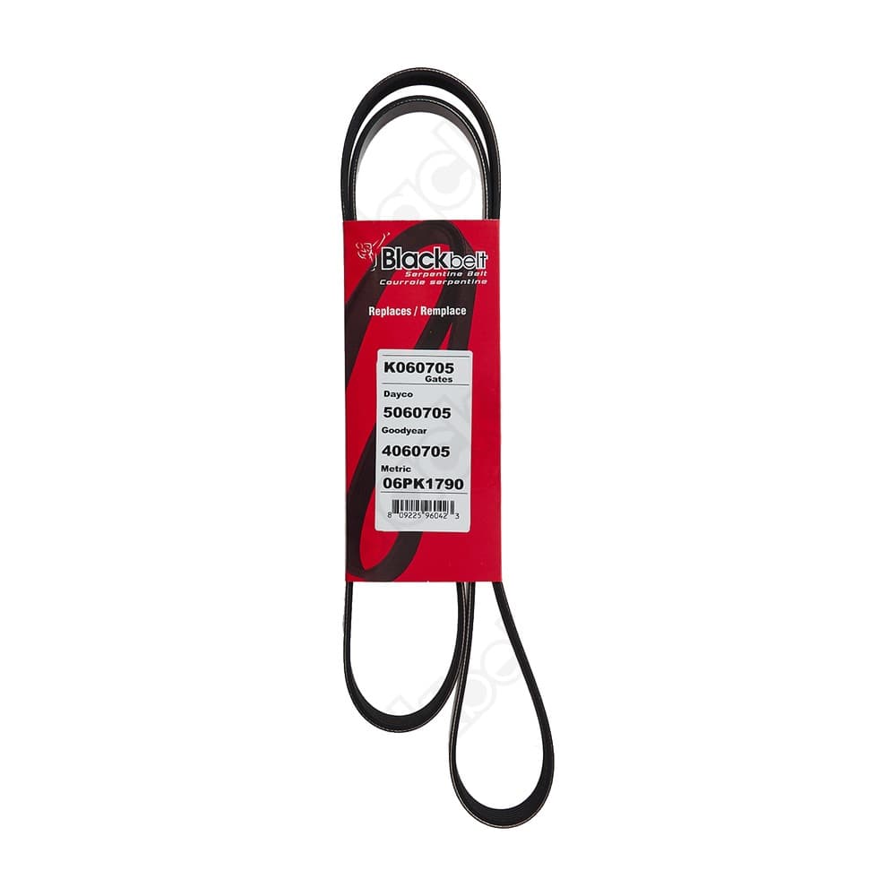 Serpentine Belt K060705