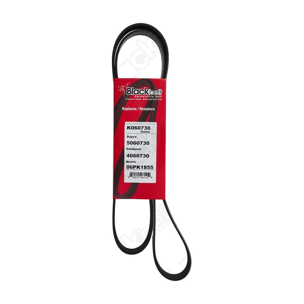 Serpentine Belt K060730