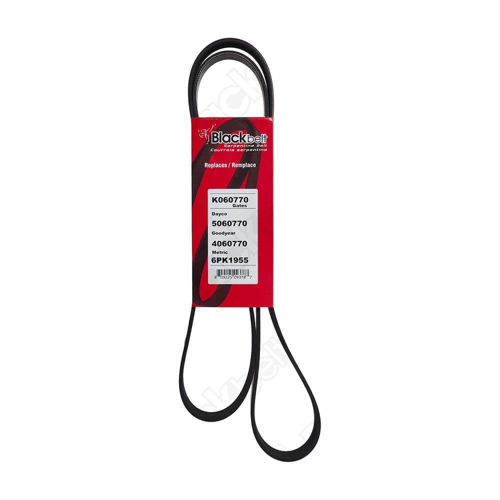 Serpentine Belt K060770