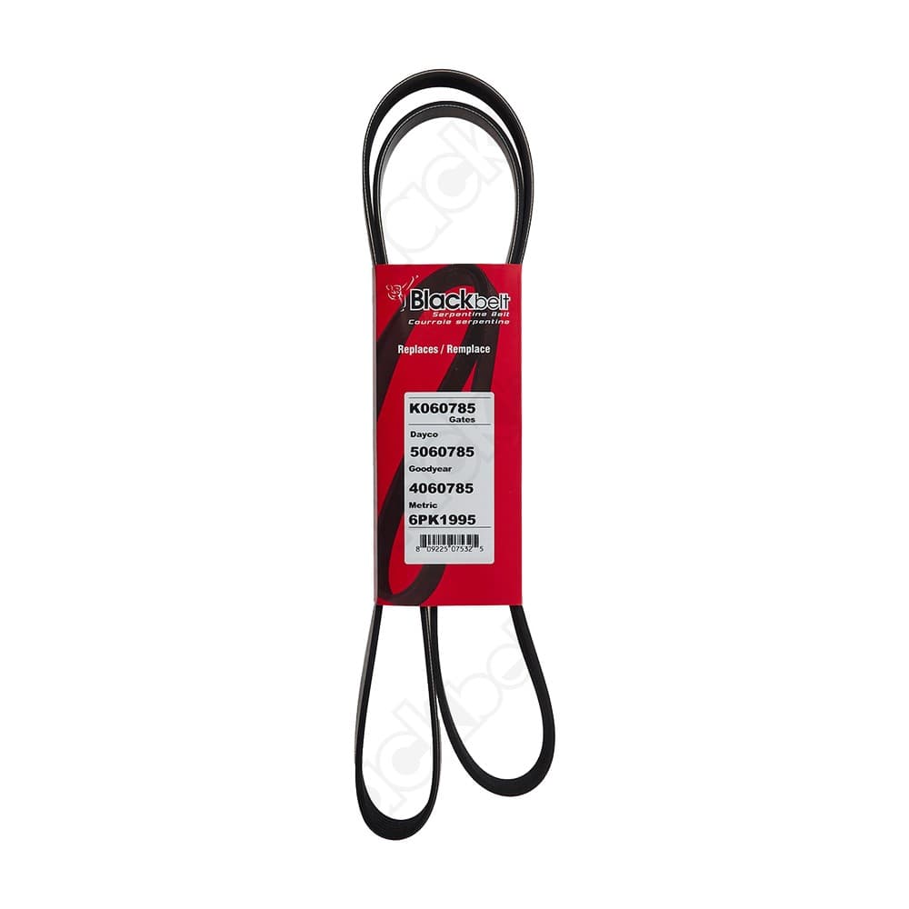 Serpentine Belt K060785