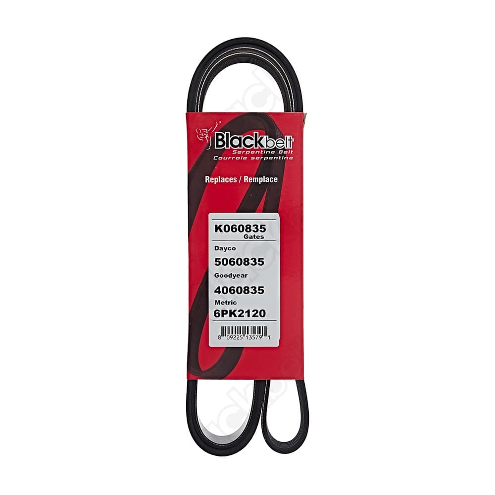 Serpentine Belt K060835