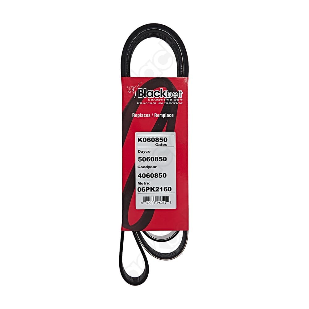 Serpentine Belt K060850