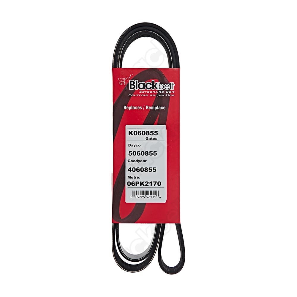 Serpentine Belt K060855