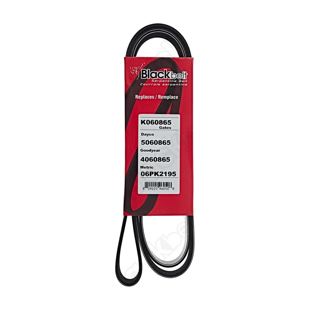 Serpentine Belt K060865