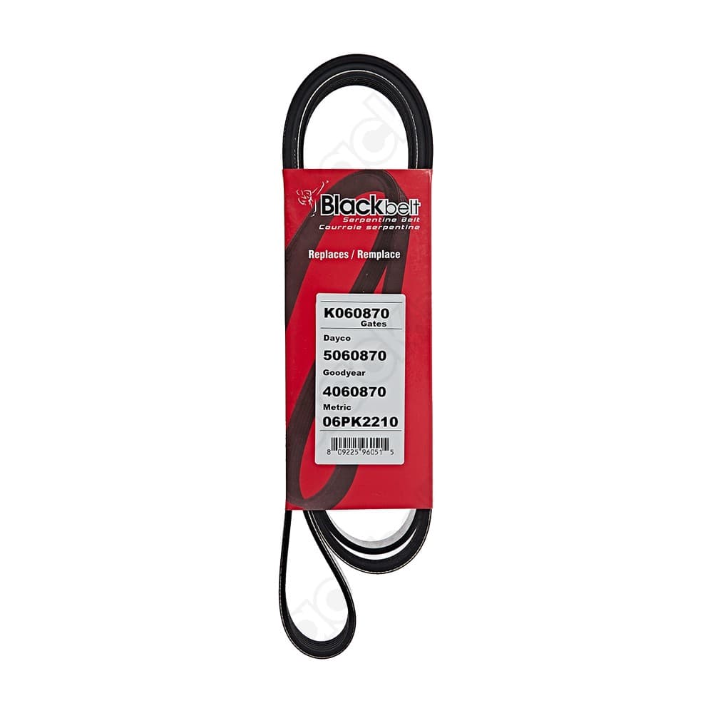Serpentine Belt K060870