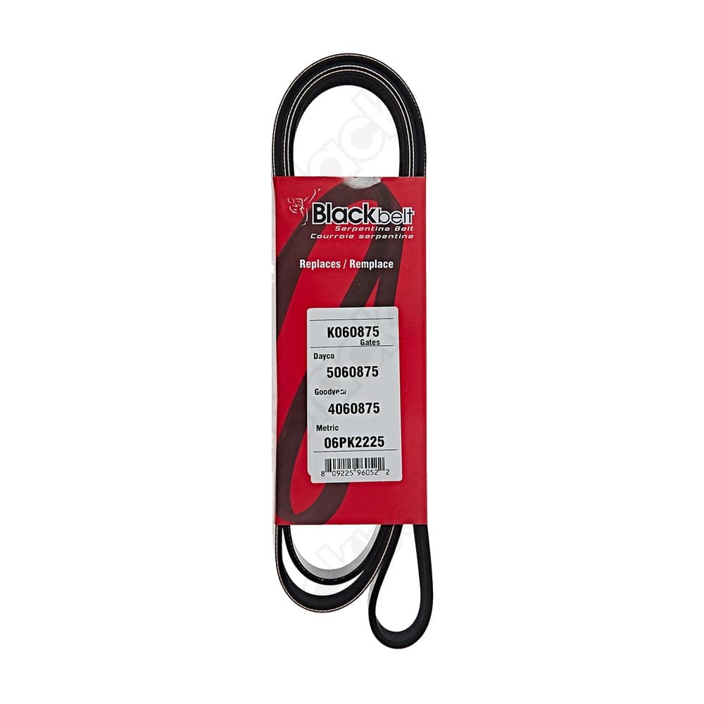 Serpentine Belt K060875