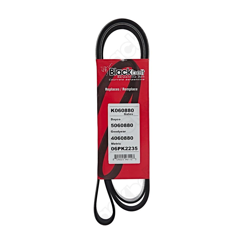 Serpentine Belt K060880