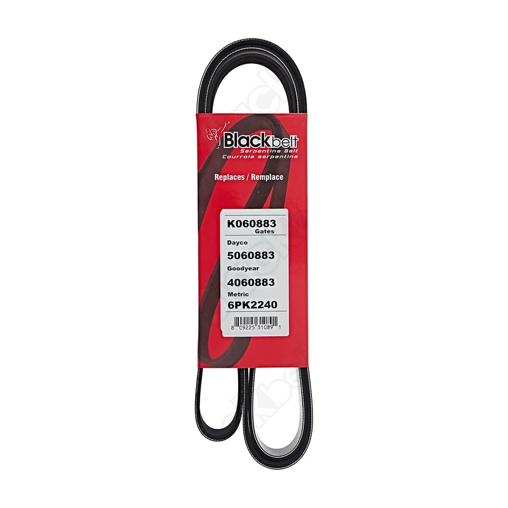 Serpentine Belt K060883