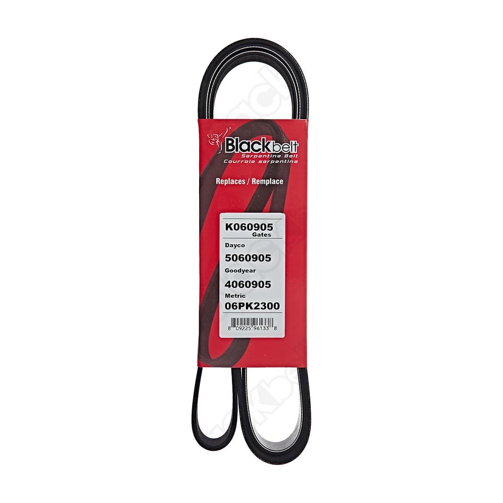 Serpentine Belt K060905