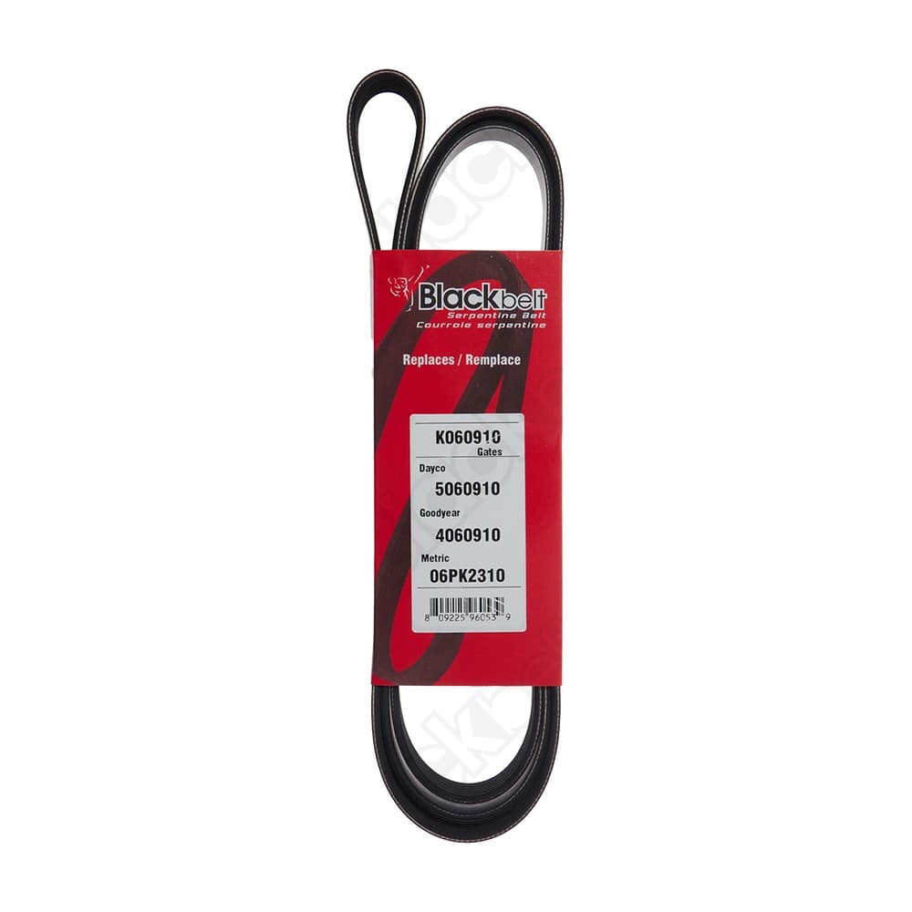 Serpentine Belt K060910